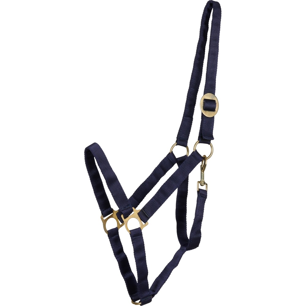 Cabestro básico de nylon HorseGuard