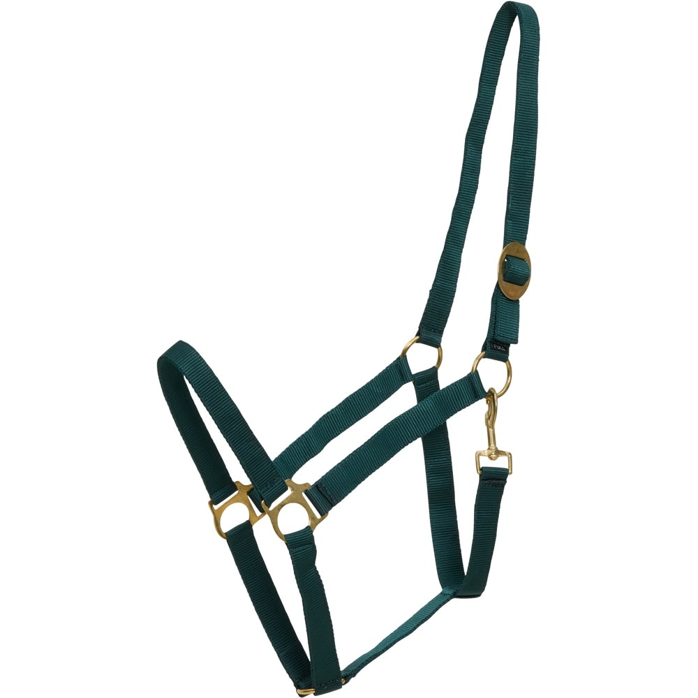 Cabestro básico de nylon HorseGuard