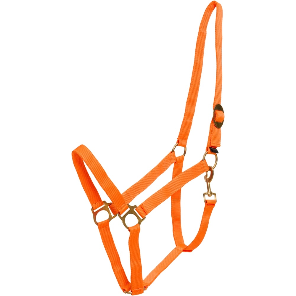 Cabestro básico de nylon HorseGuard
