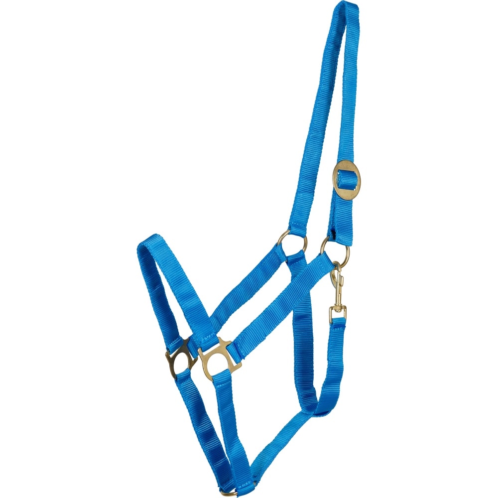 Cabestro básico de nylon HorseGuard