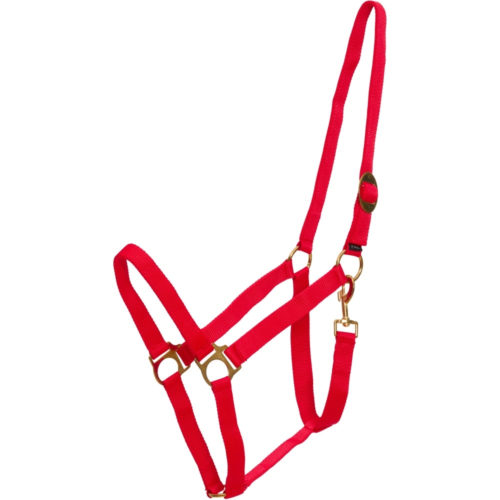 Cabestro básico de nylon HorseGuard