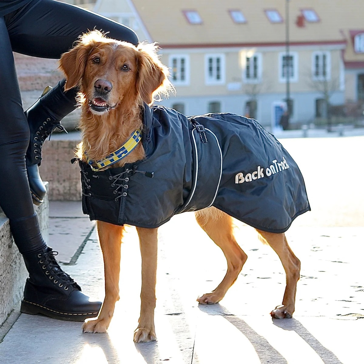 Back On Track Standard Dog coat