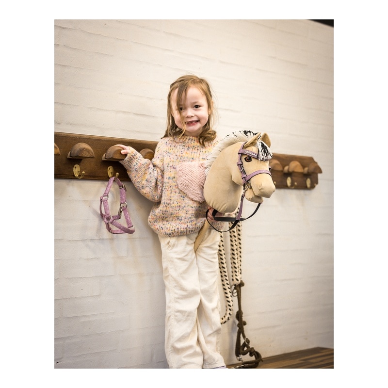 My Hobby Horse Fjord