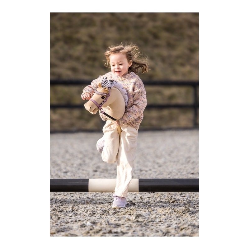 My Hobby Horse Fjord