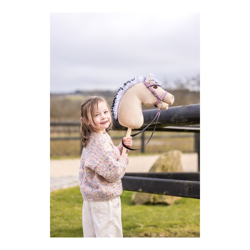 My Hobby Horse Fjord