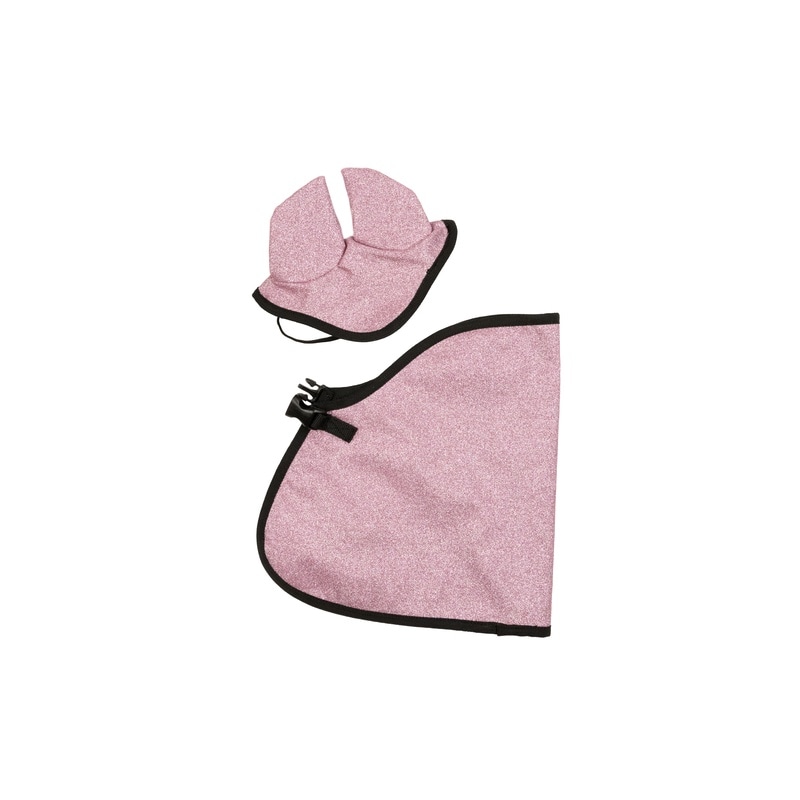 Meine Hobby Horse Decke & Fliegenmütze