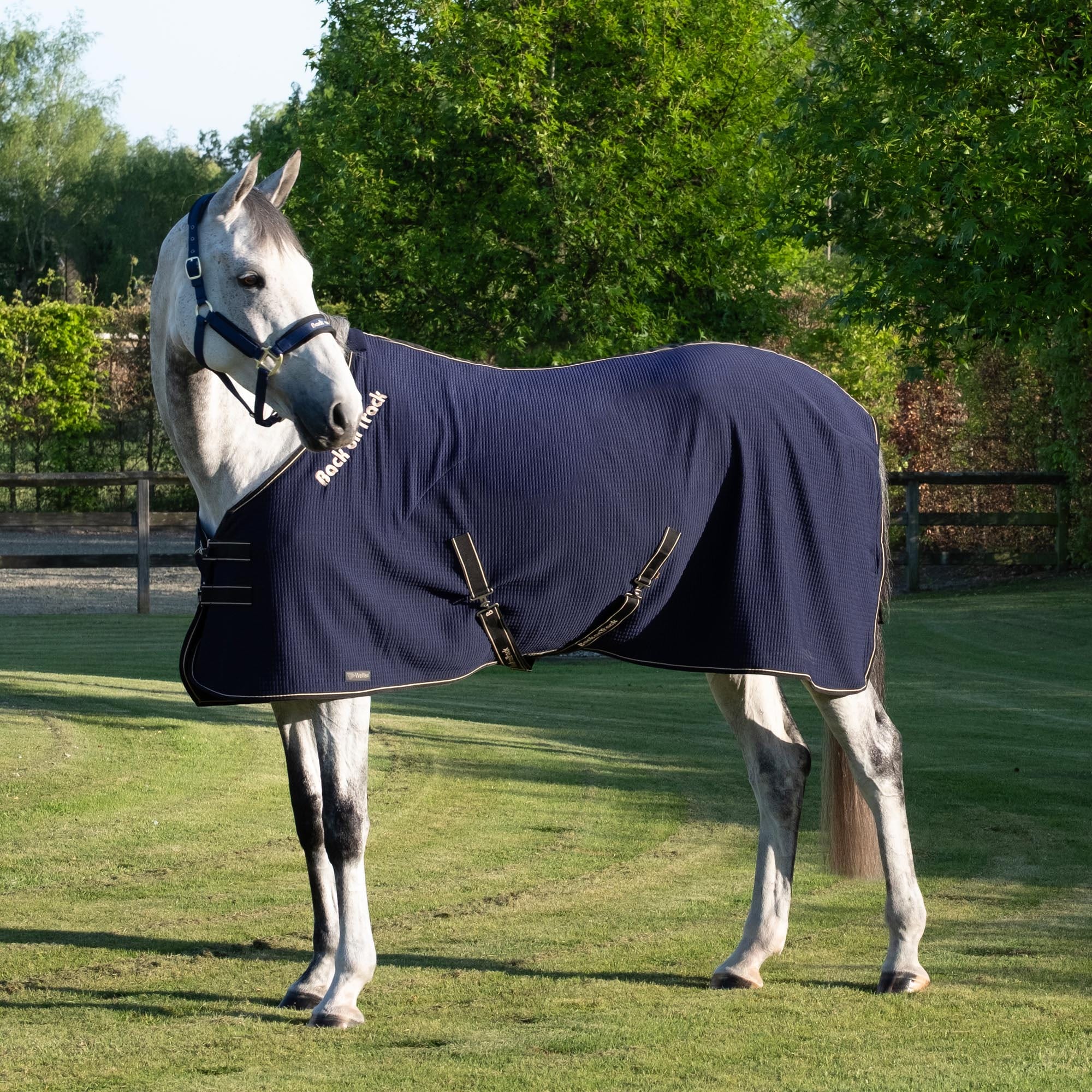 Back On Track Quick cooler-dekken