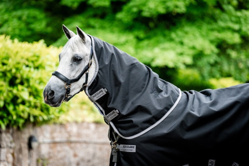 Horseware Amigo Bravo 12 Plus Coperta da Paddock (100g Light)