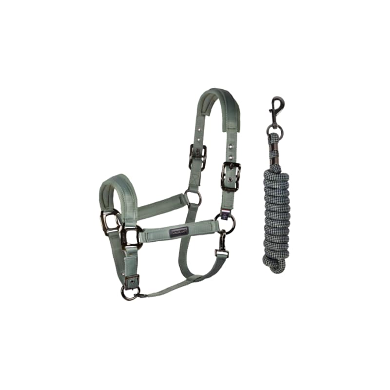 Kingsland Lucca Halfter und Strick