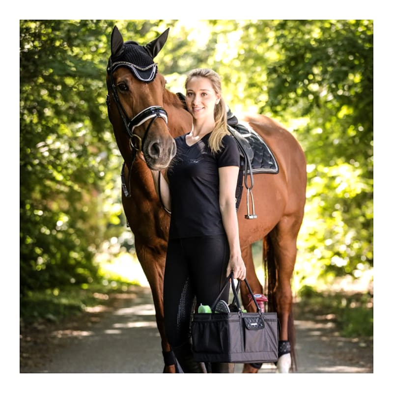 Lami-cell Reiseveske