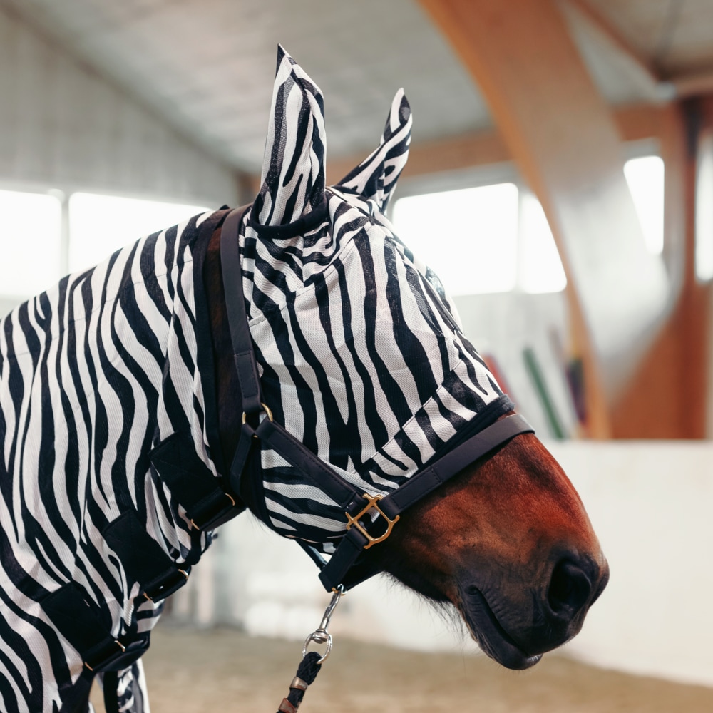 Equestrian Essentials Zebra Flymask with Ears