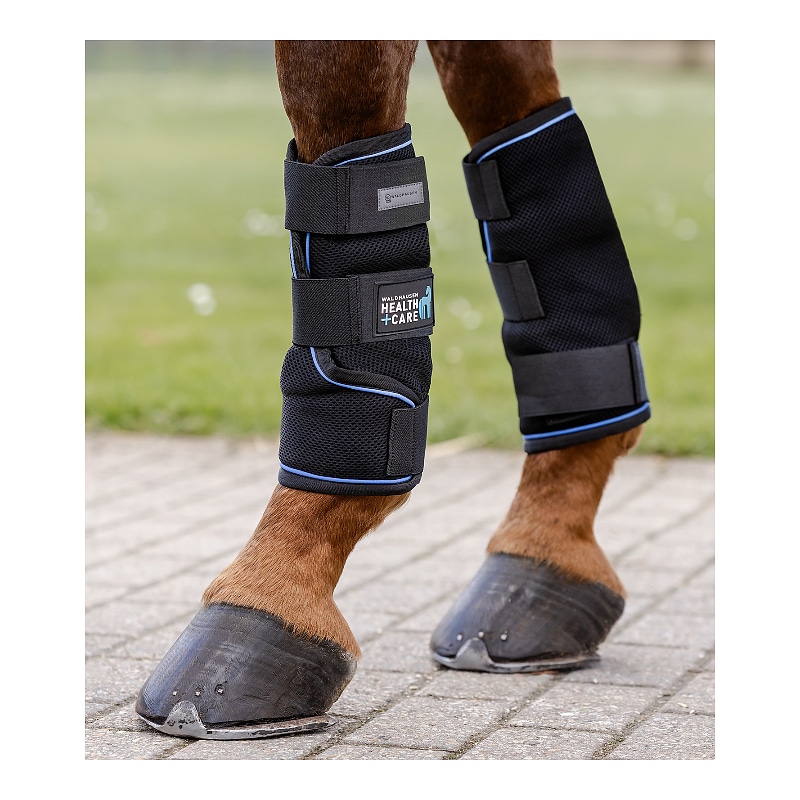 Stinchiere Waldhausen Health & Care Ice-Layer, paio, nero, S