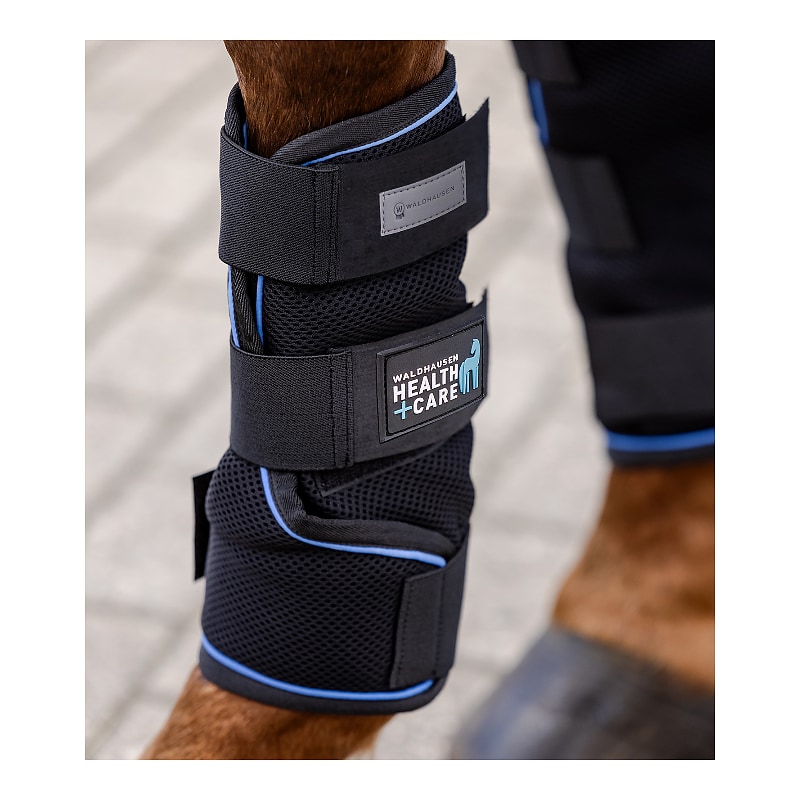 Stinchiere Waldhausen Health & Care Ice-Layer, paio, nero, S