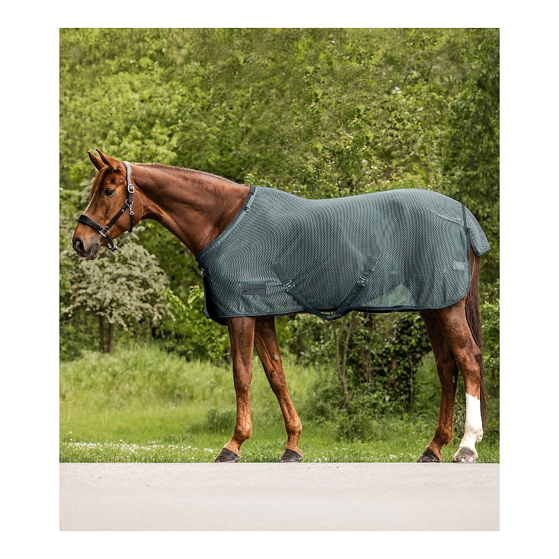 Fly rug Comfort Cross Surcingles
