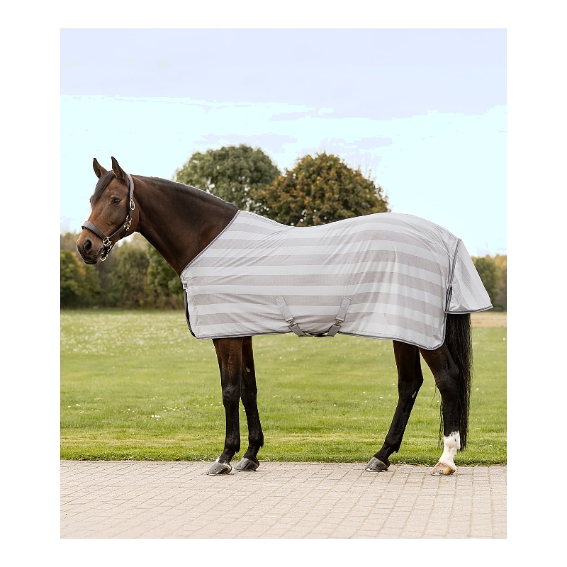 Fly rug Economic Cross Surcingles