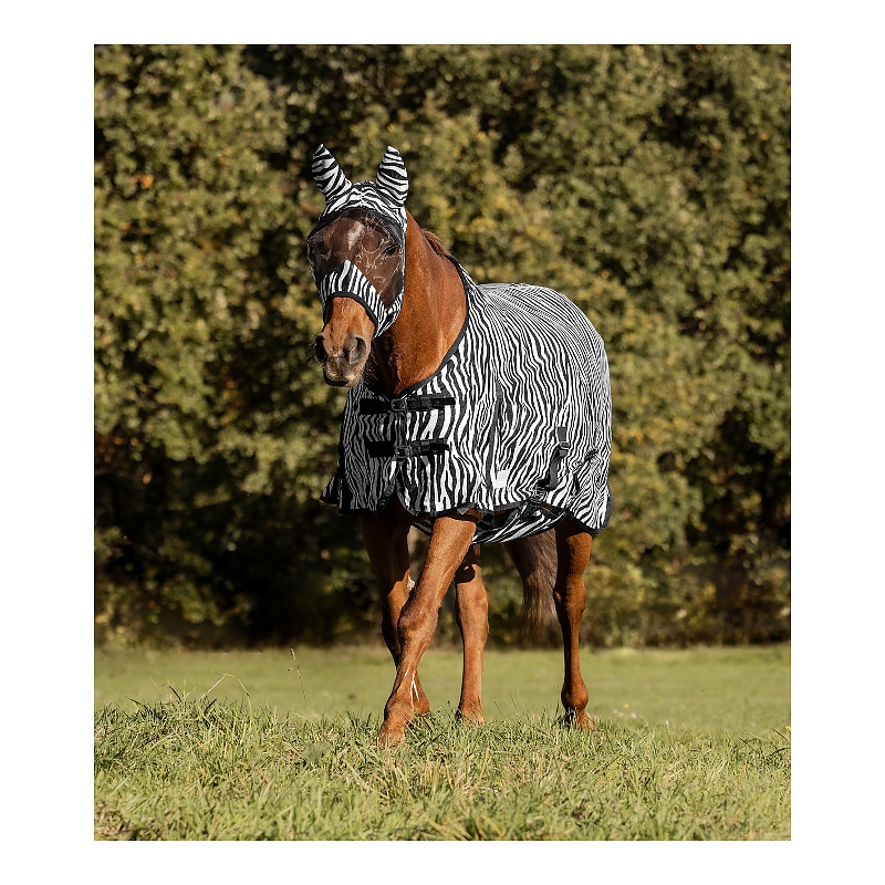 Zebra flugtäcke