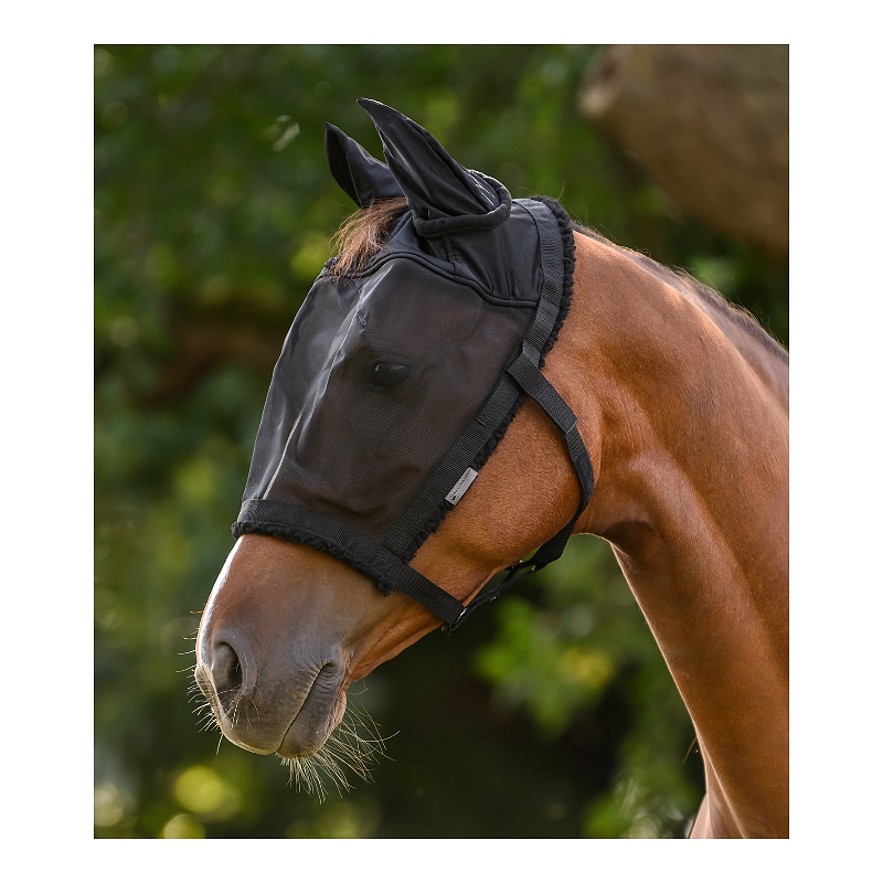 Betesgrimma med flugmask