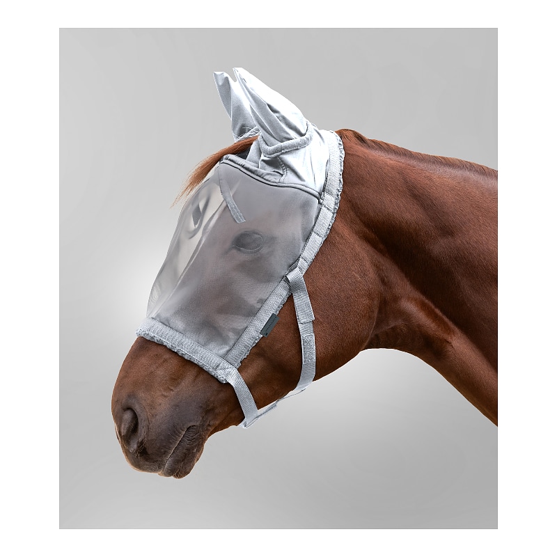 Betesgrimma med flugmask