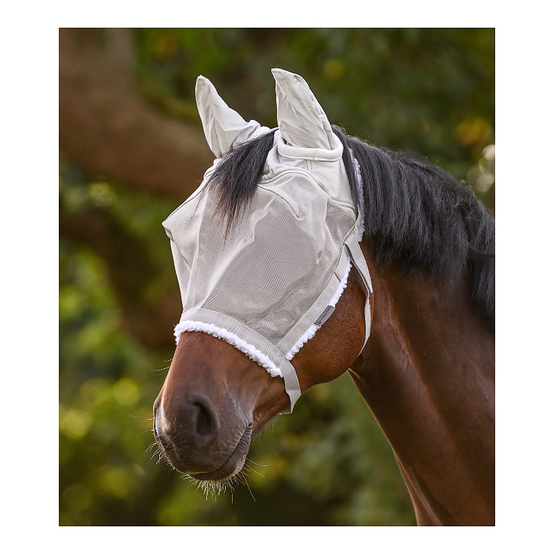 Betesgrimma med flugmask