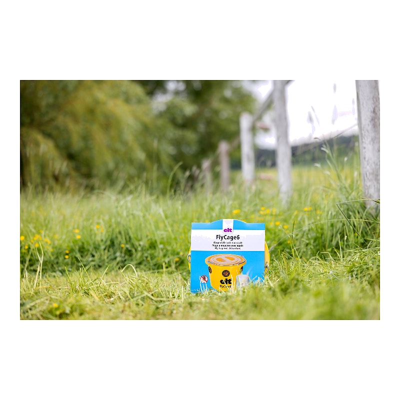 CIT Fly Trap FlyCage6,