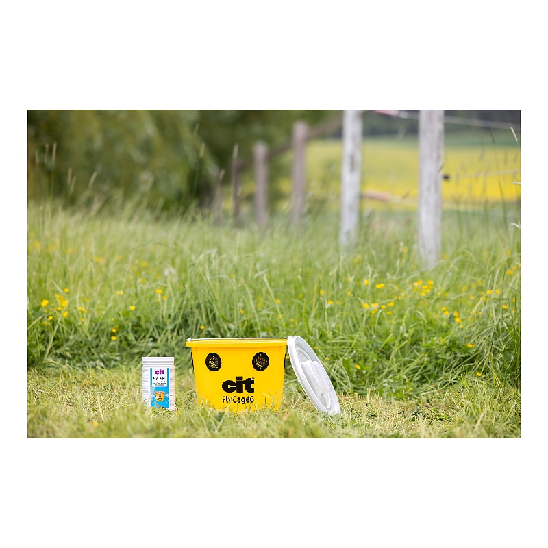 CIT Fly Trap FlyCage6,