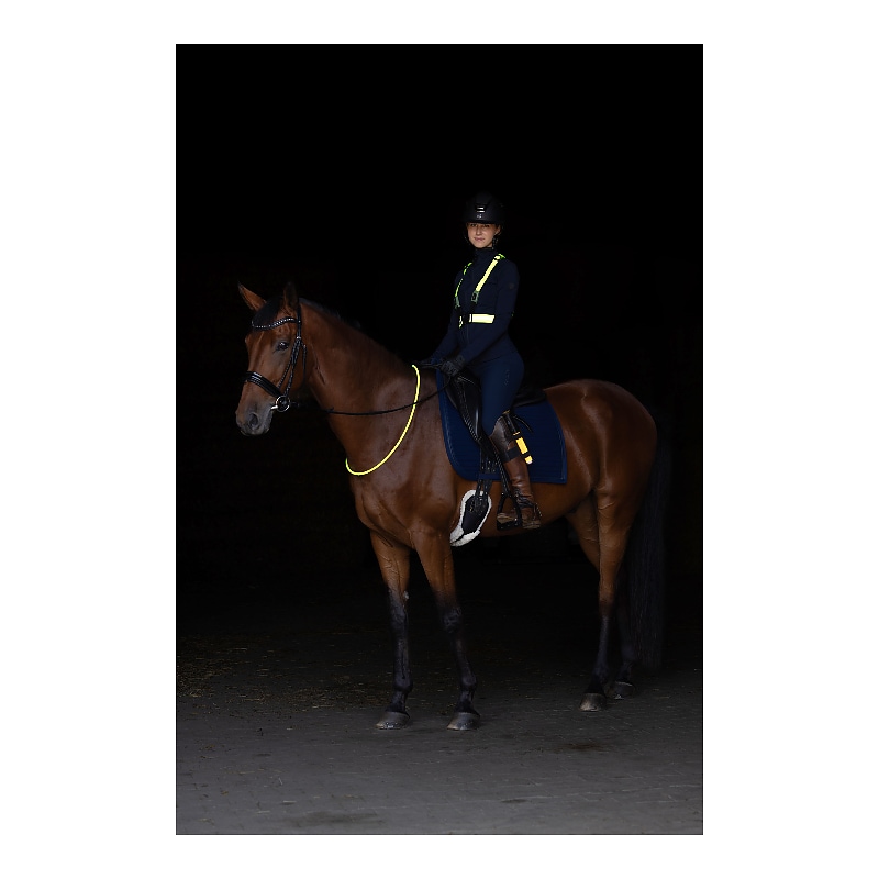 Collar LED