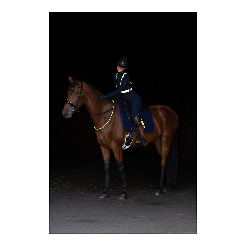 Collar LED