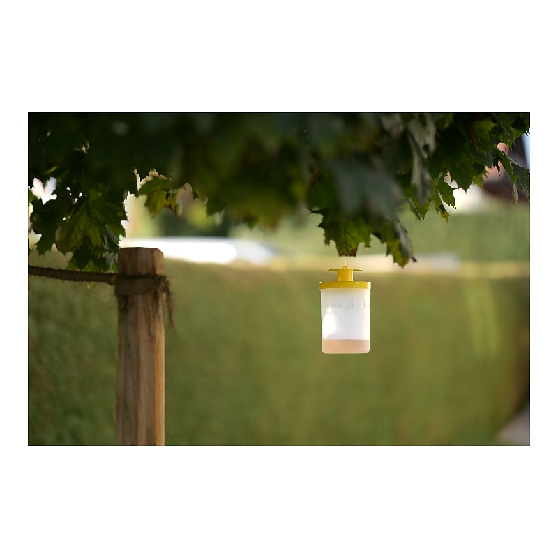 cit Fly Trap FlyCage3