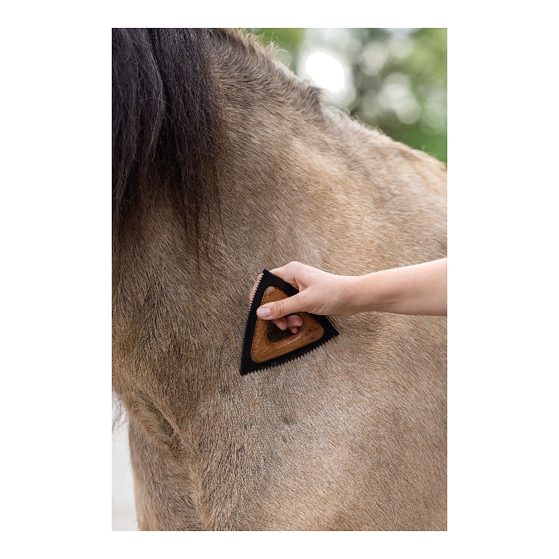 Cepillo Magic Brush