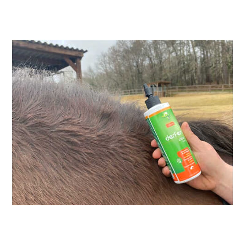 ANIMADERM Lozione - DERFEN™ Clear
