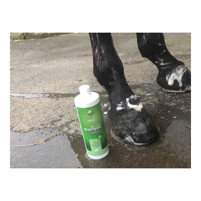 ANIMADERM Shampoo - TEA TREE