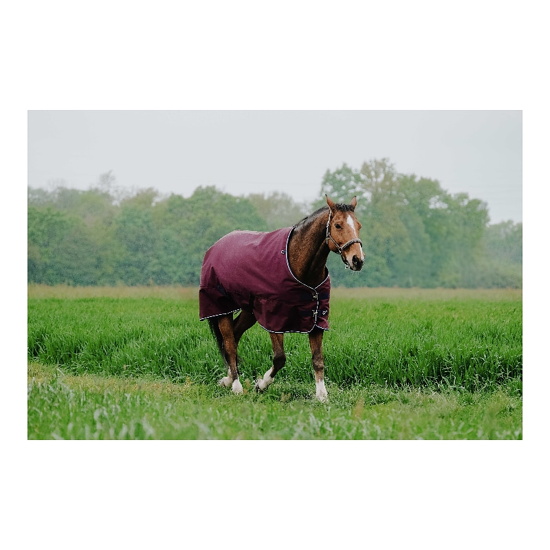 EQUITHEME- TYREX 1200D - Turnout Rug