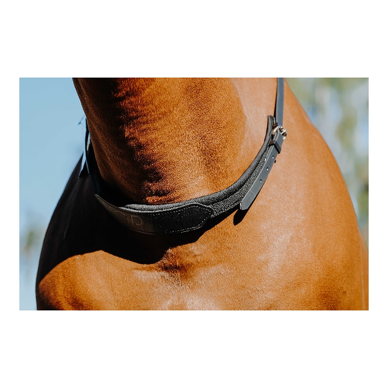 NORTON bareback riding collar