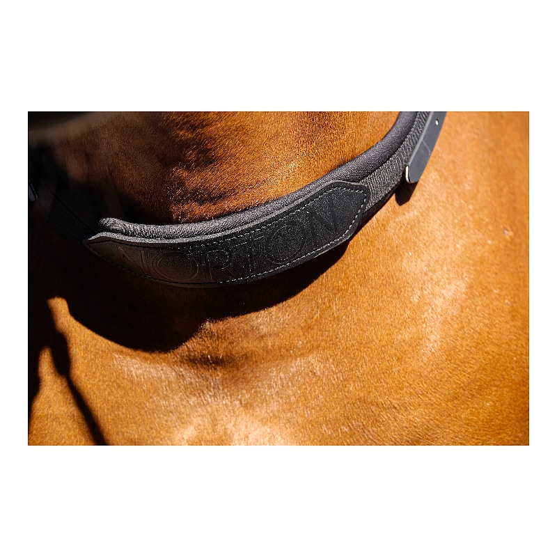 NORTON bareback riding collar