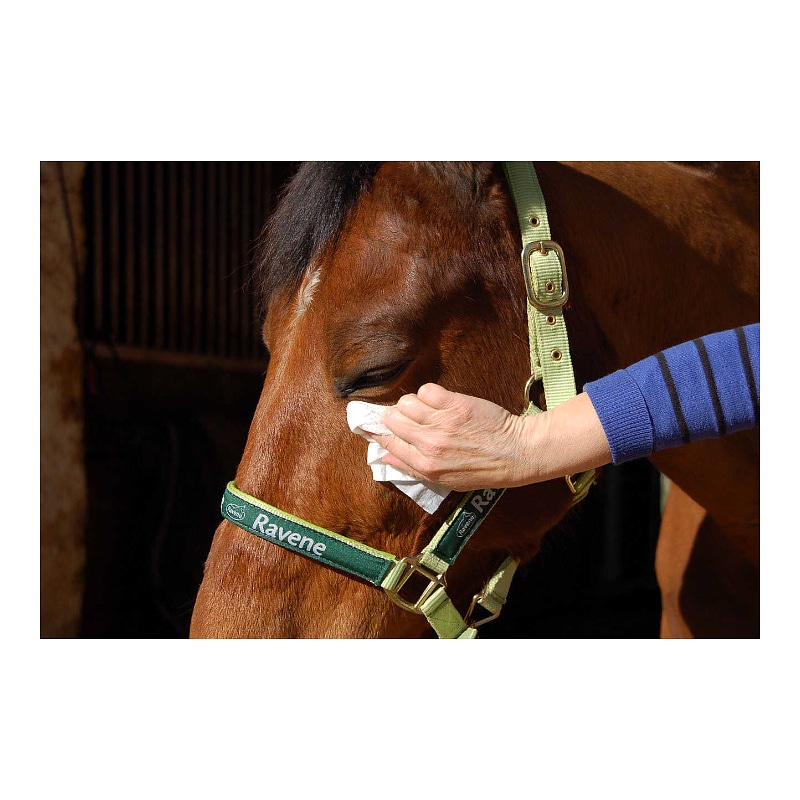 RAVENE Easy Shine Wipes reinigingsdoekjes