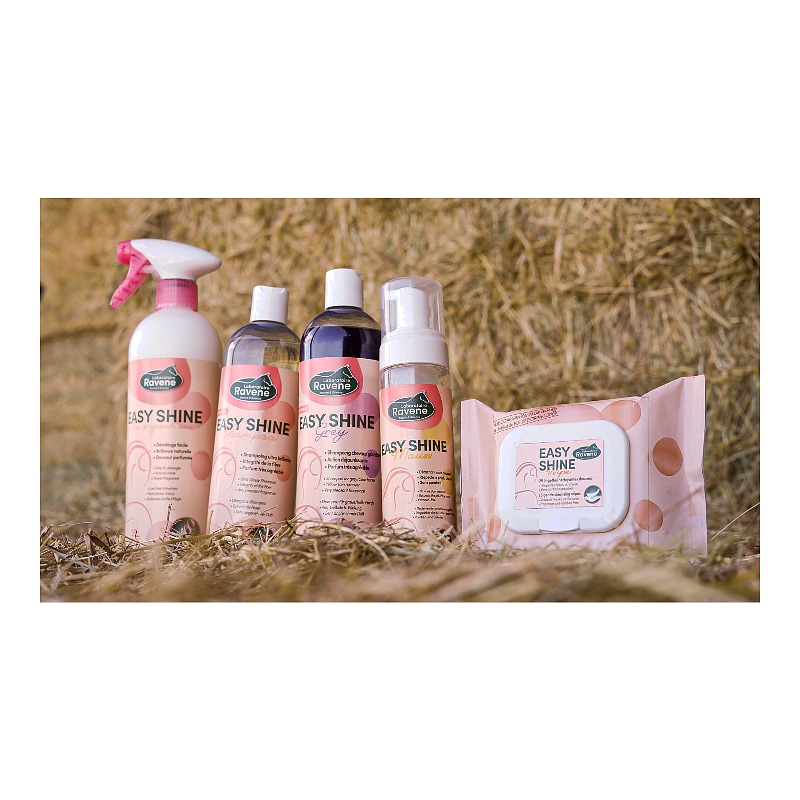 RAVENE Easy Shine Wipes reinigingsdoekjes