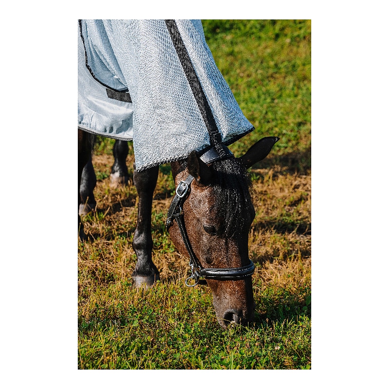 RIDING WORLD - Belly Mesh - vliegendeken met hals en buikflap