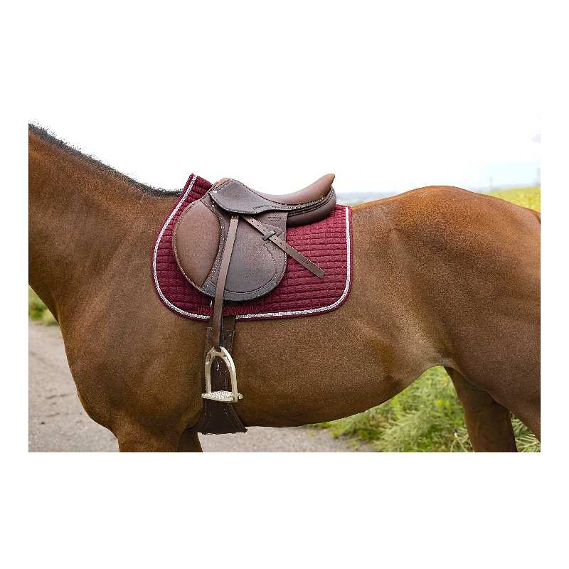 RIDING WORLD - Girly - mantilla