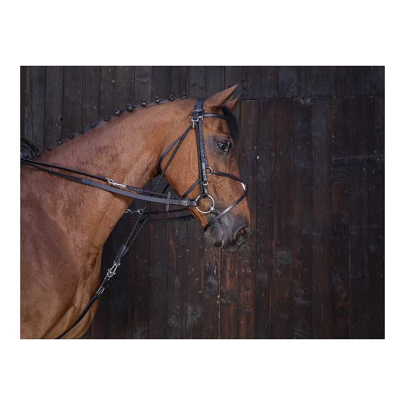 RIDING WORLD Leather gogue reins