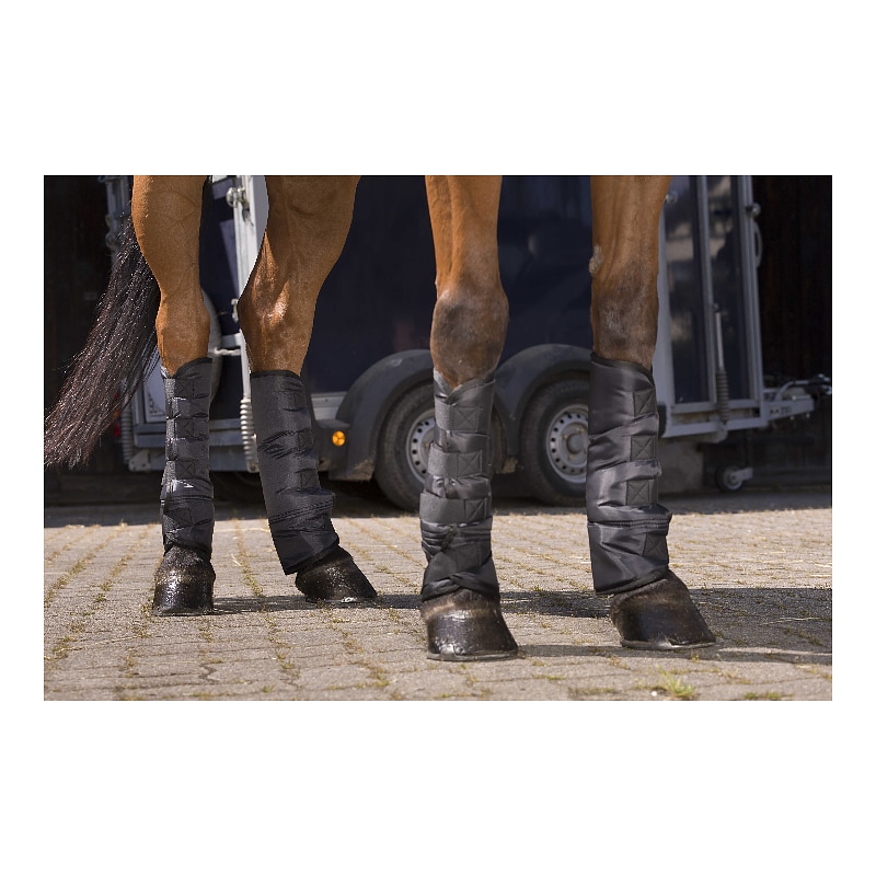 RIDING WORLD Low shipping boots