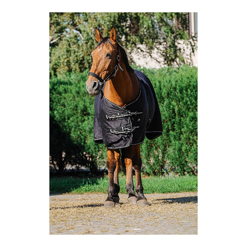 Chemise brillante RIDING WORLD