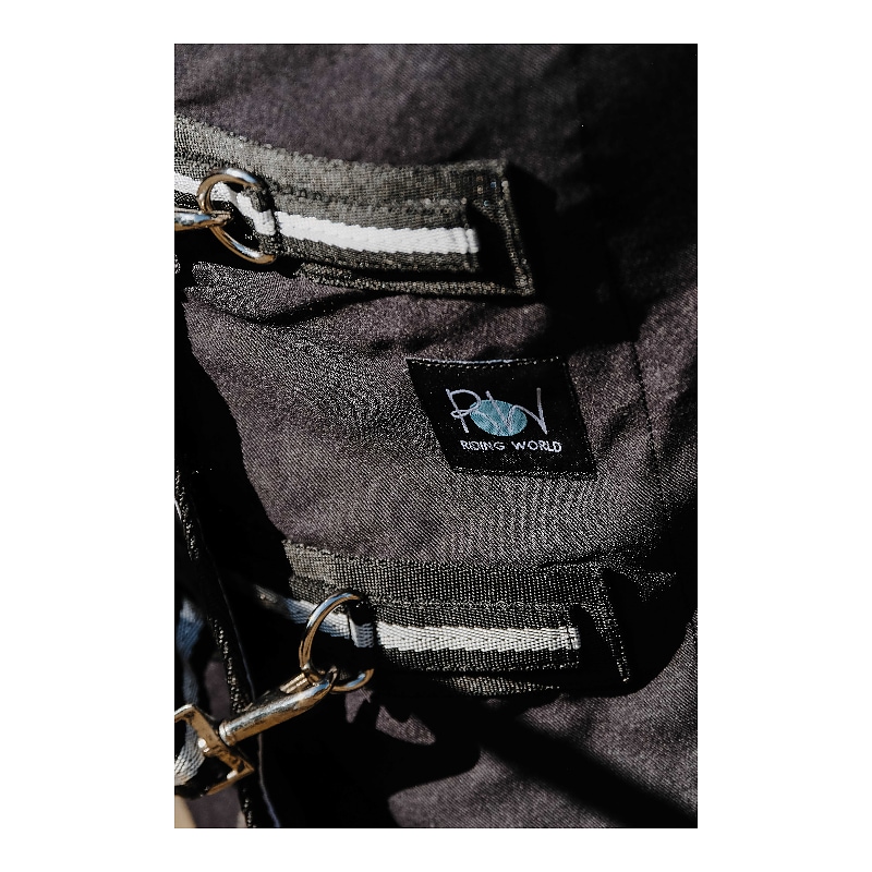 Chemise brillante RIDING WORLD