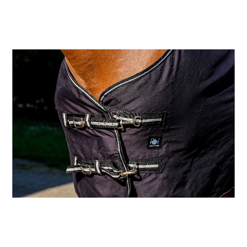 Chemise brillante RIDING WORLD