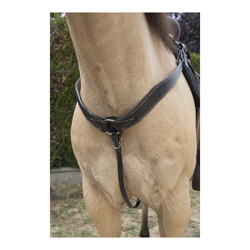 WESTRIDE Topstitched western hunting collar