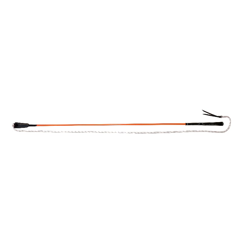 WHIP & GO ethologische stick