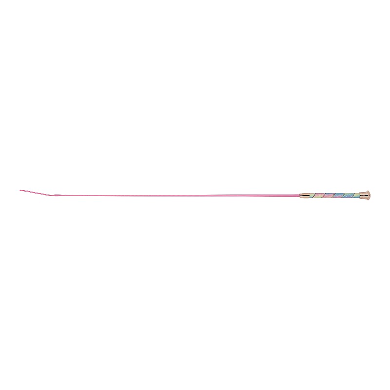 WHIP & GO - Strassy - Dressage Whip