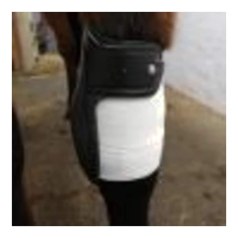 Dr. Horse Knæbandage 100mm x 4,5m