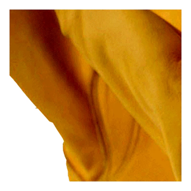 Westerngloves Texas