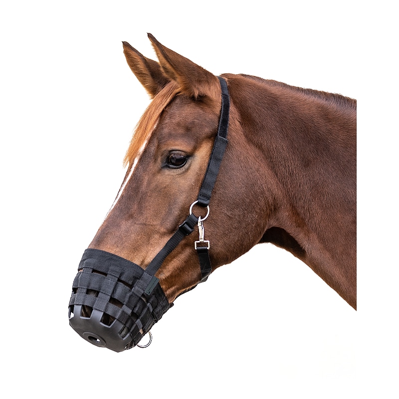 Adjustable Muzzle