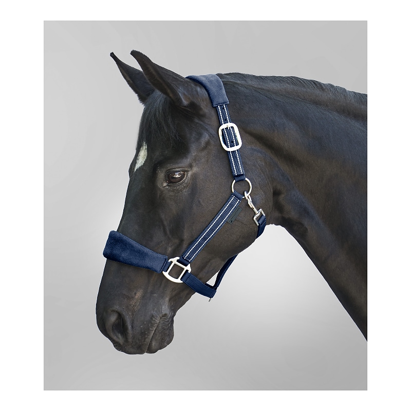 Halter Alcantara
